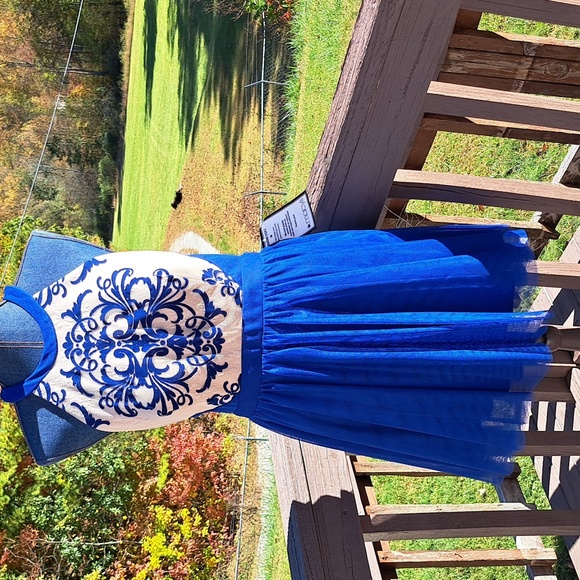 Blondie Electric Blue Tulle and Lace Dress - Picture 1 of 10